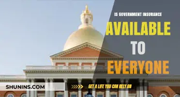 Is Government Insurance Accessible to All? Eligibility and Coverage Explained