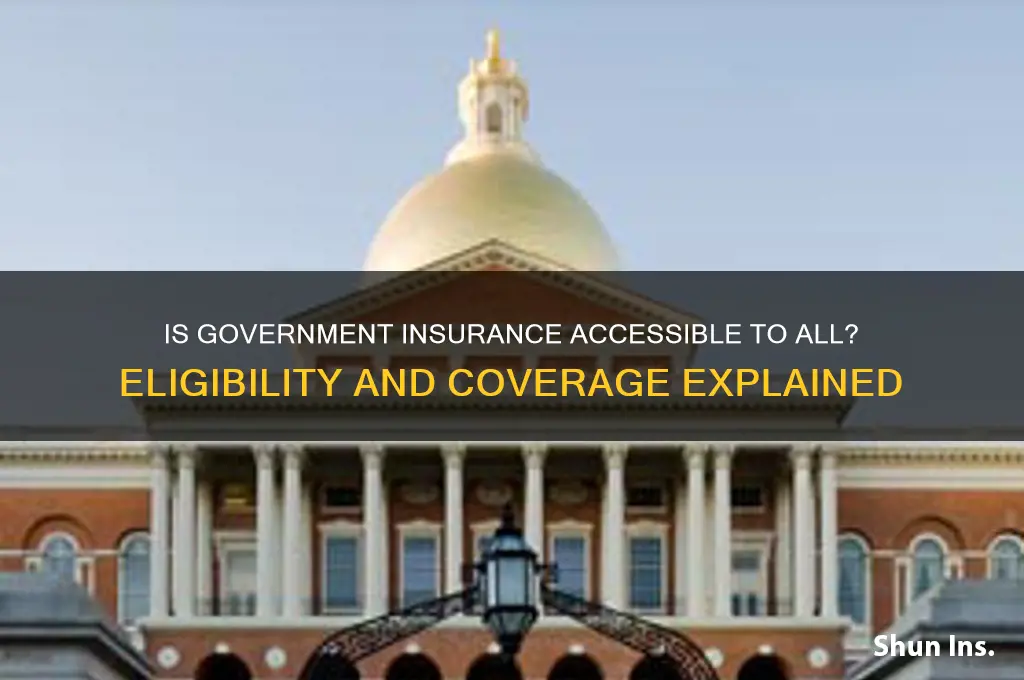 is government insurance available to everyone