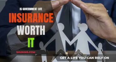 Government Life Insurance: Worth the Cost?