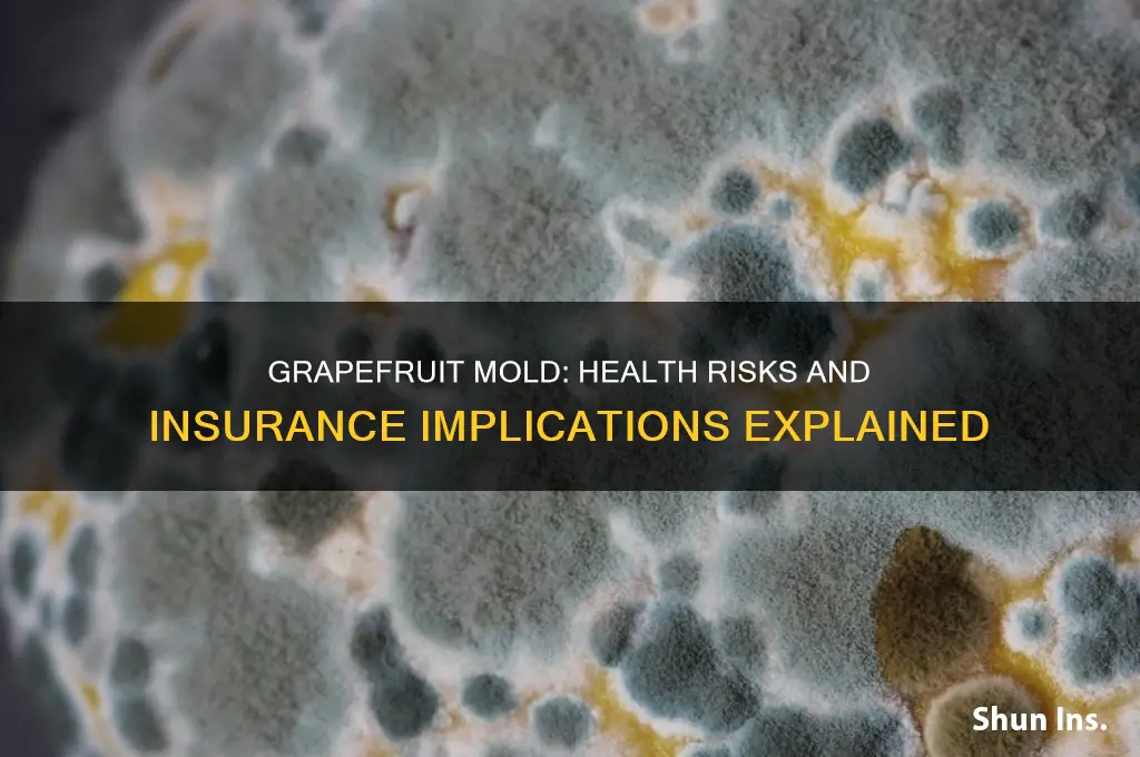 is grapefruit mold dangerous to insure