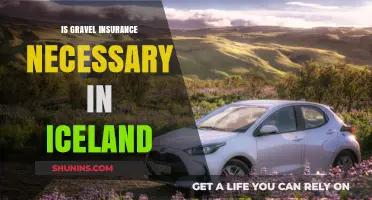 Is Gravel Insurance in Iceland Essential for Your Road Trip?