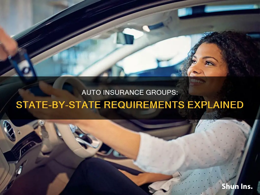 is group auto insurance required in all states