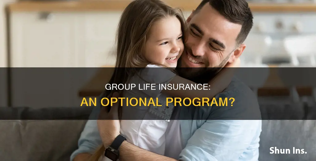 is group life insurance an optional program