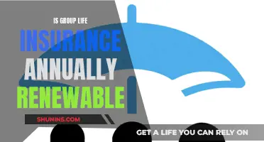 Group Life Insurance: Annual Renewal Options Explained