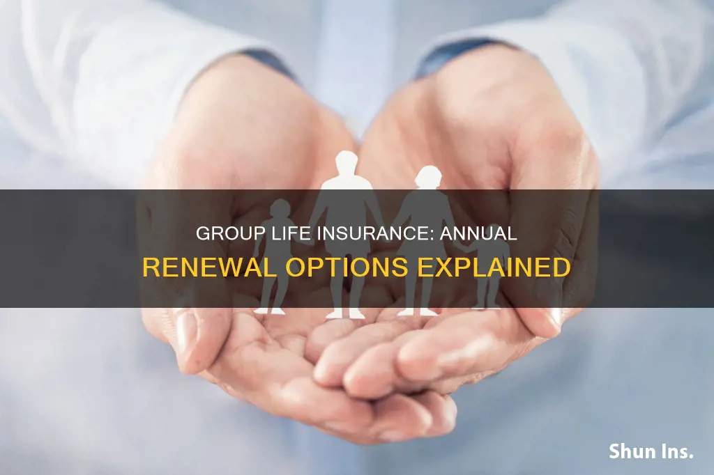 is group life insurance annually renewable