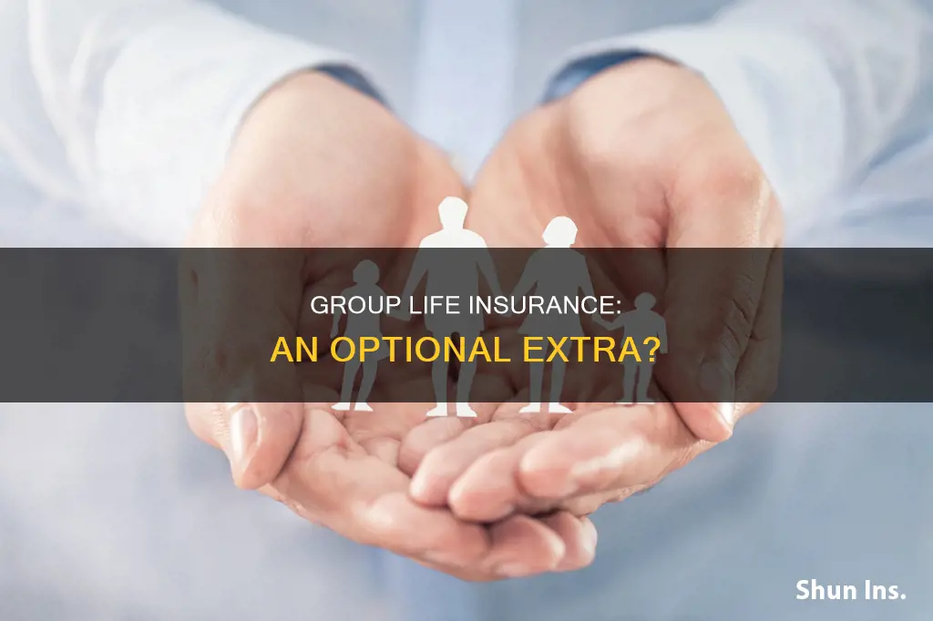 is group life insurance is an optional