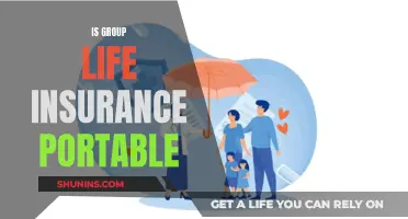 Group Life Insurance: Portability and Your Options