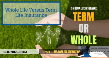 Group Life Insurance: Term or Whole Life?