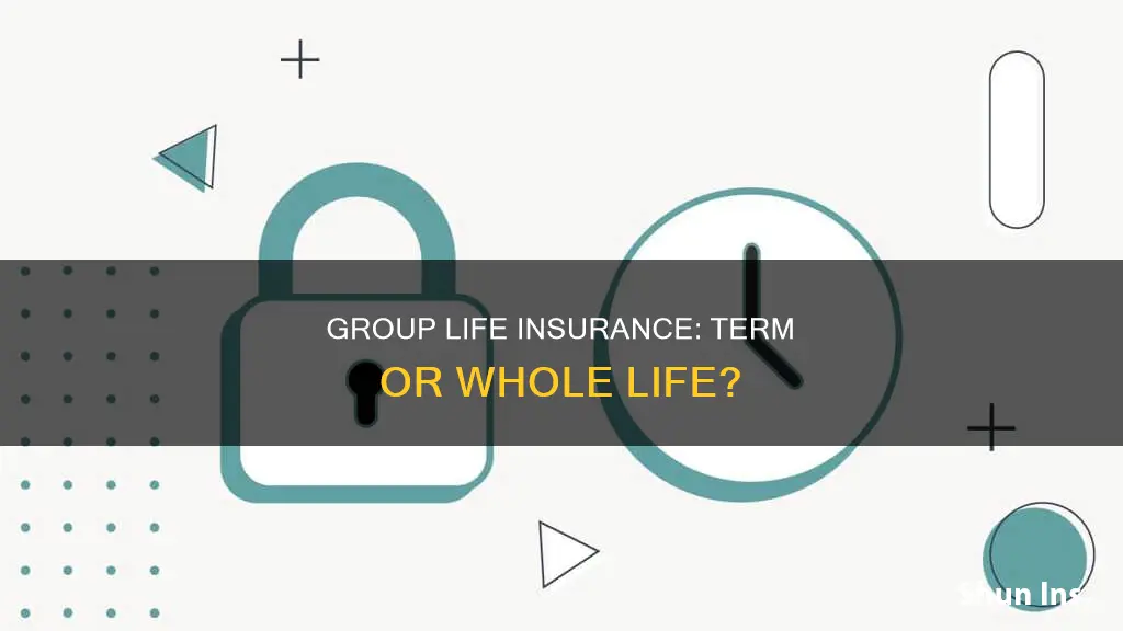 is group life insurance term or whole