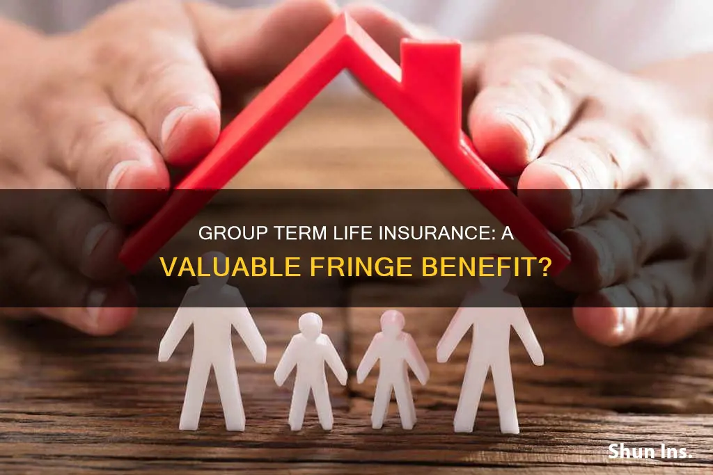 is group term life insurance a fringe benefit