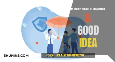 Group Term Life Insurance: Worth the Cost?