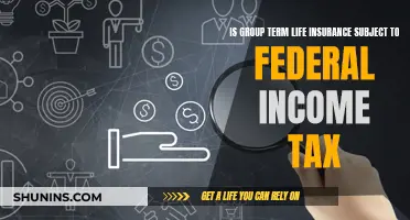 Group Term Life Insurance: Federal Income Tax Implications