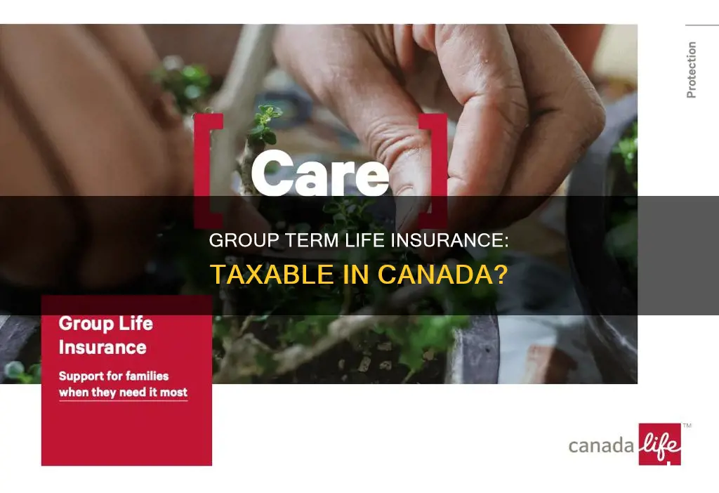 is group term life insurance taxable in canada