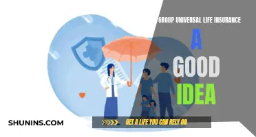 Universal Group Life Insurance: Good Idea or Not?