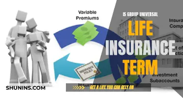 Universal Group Life Insurance: Term or Permanent?