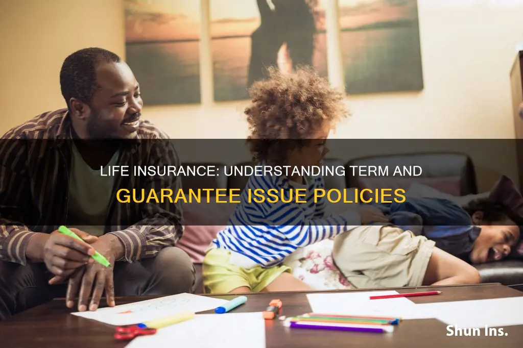 is guarantee issue life insurance term