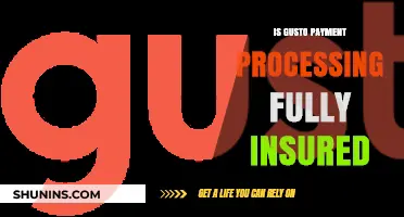 Gusto Payment Processing: Fully Insured?