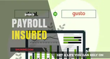 Is Gusto Payroll Insured? Understanding Protection for Your Business