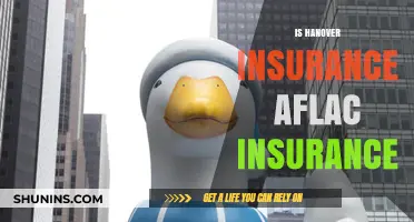 Hanover vs. Aflac: Understanding the Differences in Insurance Coverage
