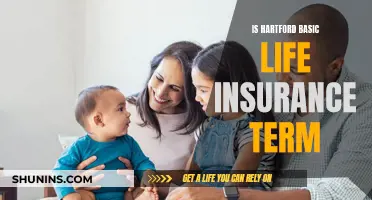 Hartford Basic Life Insurance: Understanding Term Coverage