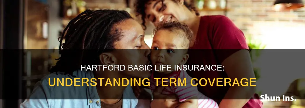 is hartford basic life insurance term