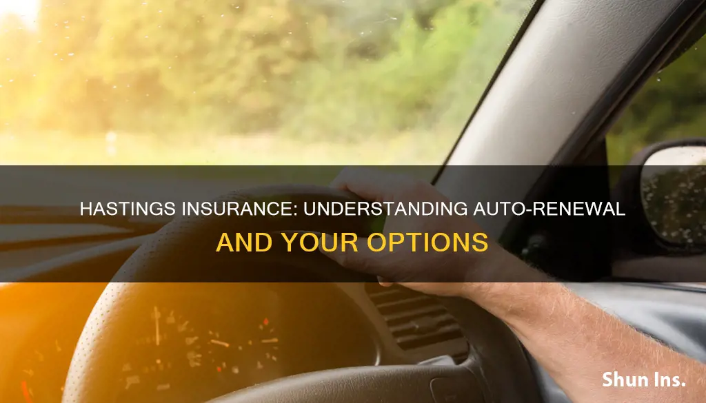 is hastings insurance auto renewall