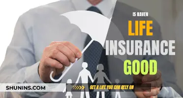 Haven Life Insurance: Is It Worth the Hype?