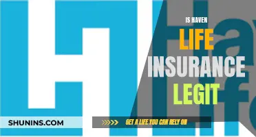 Haven Life Insurance: Legit or a Scam?