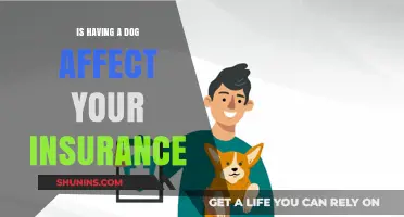 How Dog Ownership Impacts Your Insurance Rates