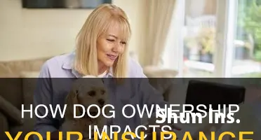 is having a dog affect your insurance