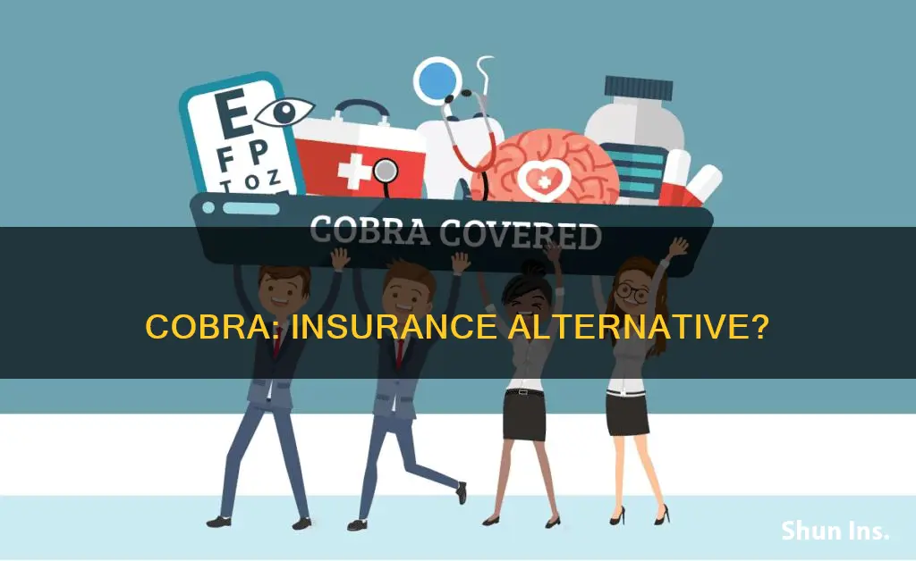 is having cobra considered having insurance