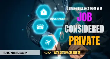 Job-Based Insurance: Private or Public?