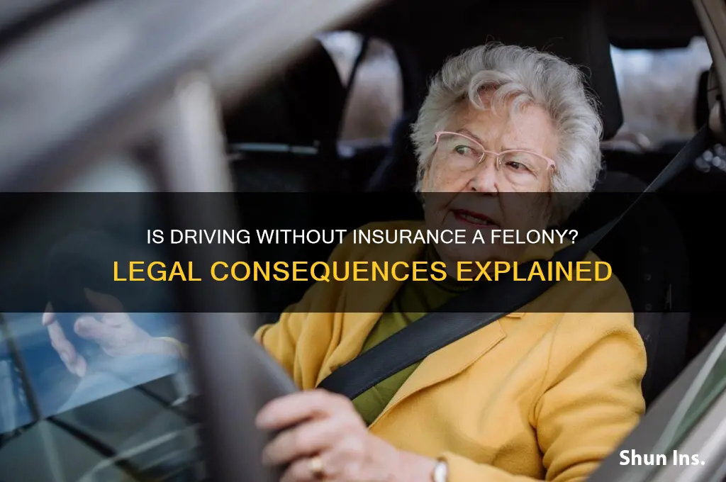 is having no insurance a felony