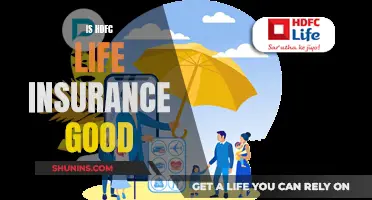 HDFC Life Insurance: Is It Worth the Investment?