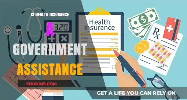 Understanding Health Insurance: Government Assistance or Private Matter?