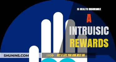 Exploring the Intrinsic Rewards of Health Insurance: A Comprehensive Guide