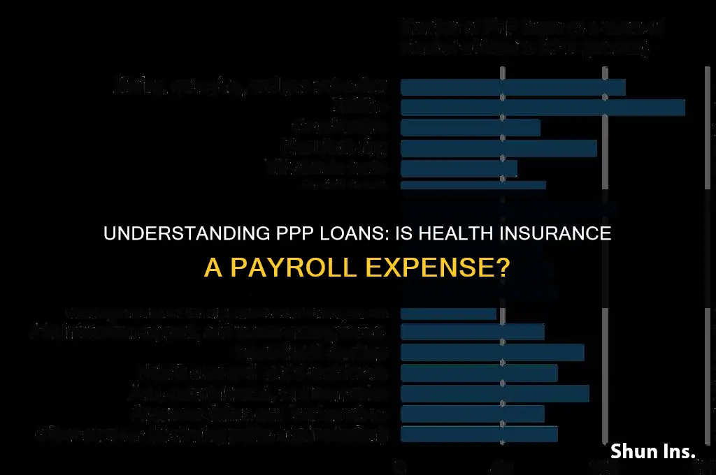 is health insurance a payroll expense for ppp
