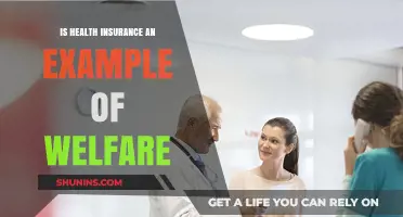 Exploring the Welfare Spectrum: Where Health Insurance Fits In