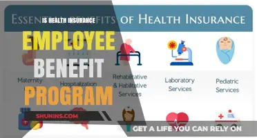 Exploring Health Insurance as an Employee Benefit Program