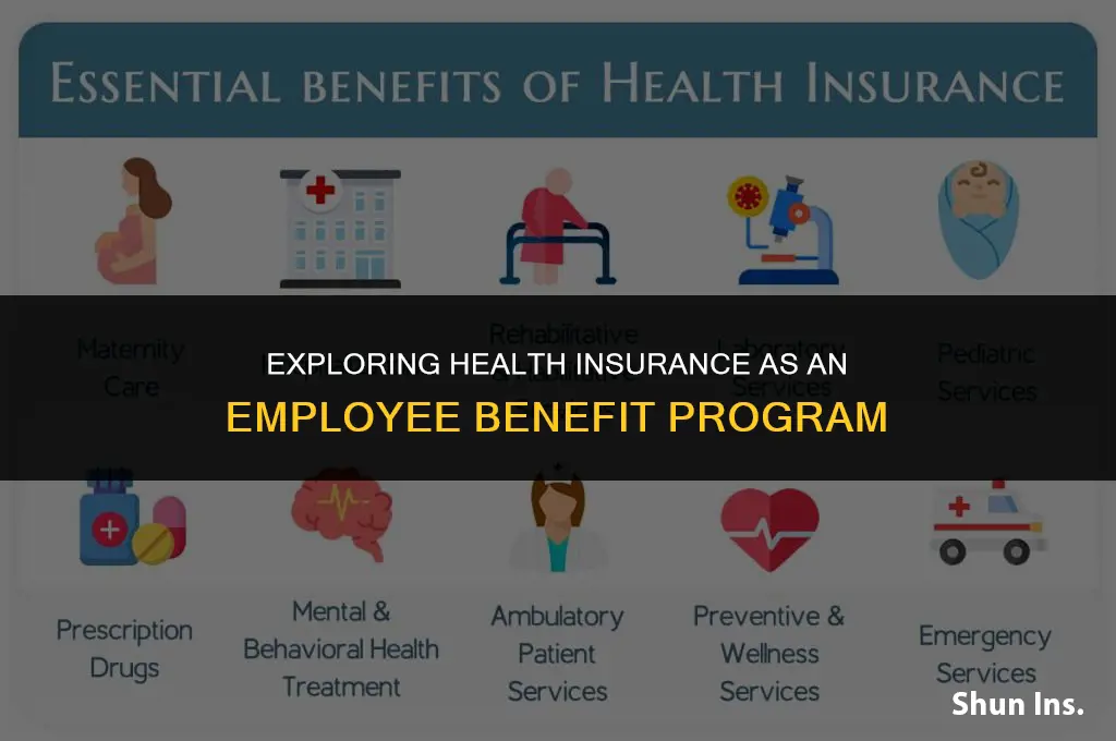 is health insurance employee benefit program