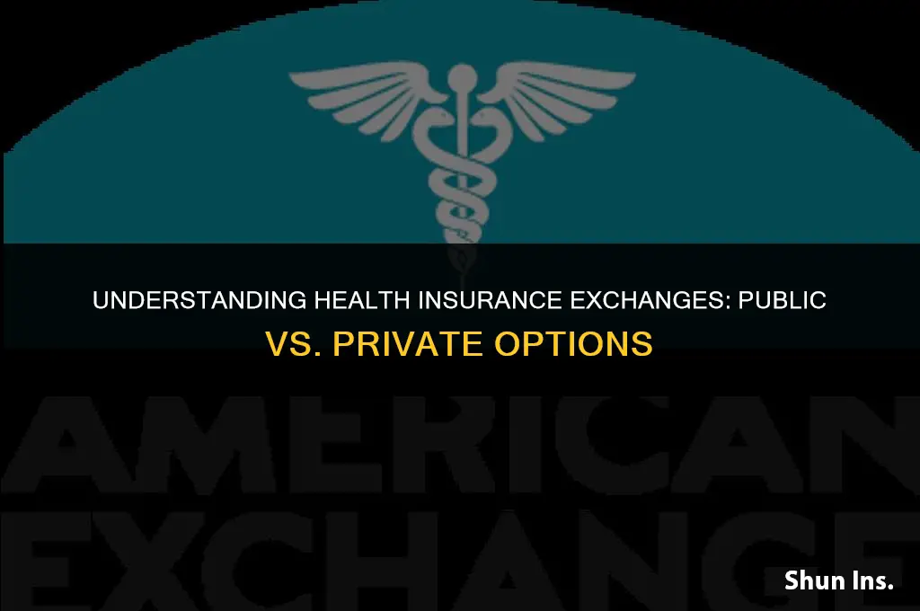 is health insurance exchange public or private