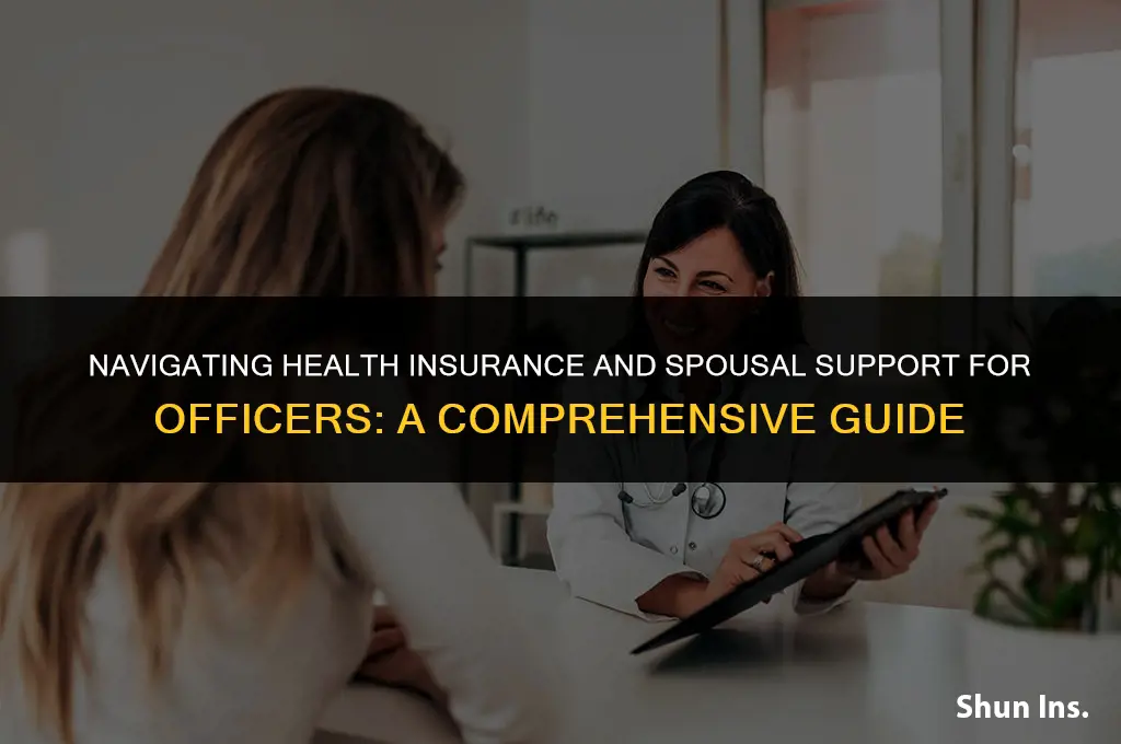 is health insurance for officers an addback re spousal support