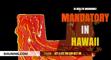 Exploring Hawaii's Health Insurance Requirements: What You Need to Know