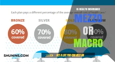 Decoding Health Insurance: Micro, Macro, or Mezzo?