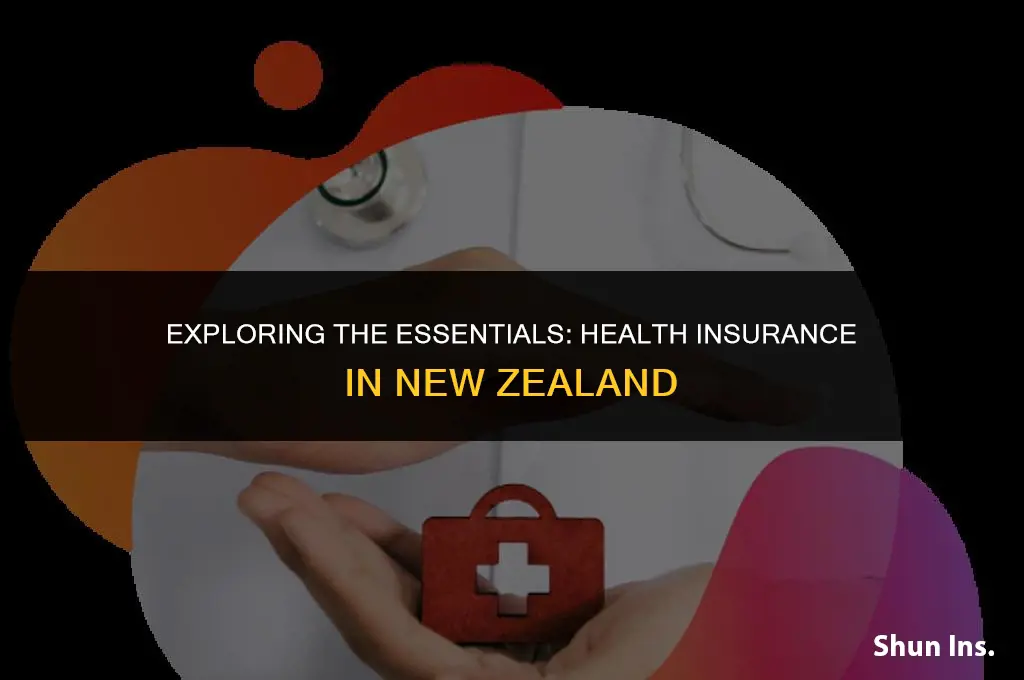 is health insurance necessary in new zealand