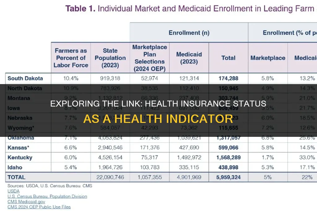 is health insurance status a heaslth indicator