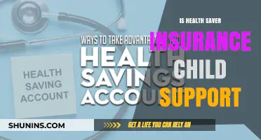 Health Saver Insurance: Does It Cover Child Support?