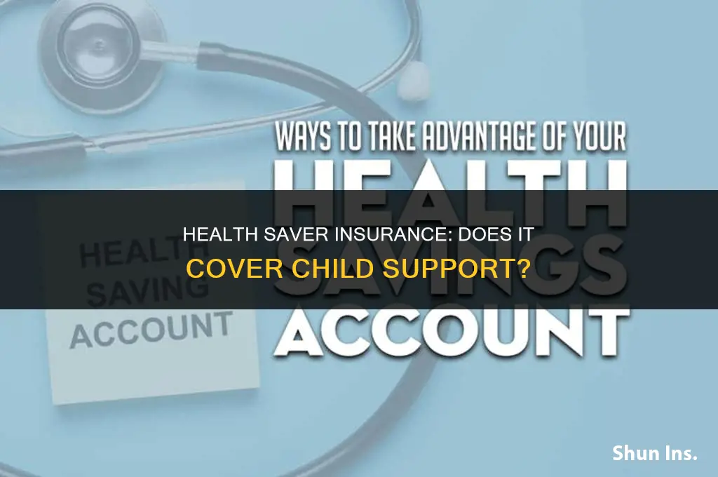 is health saver insurance child support