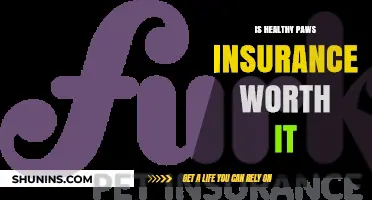 Healthy Paws Insurance: Is It Worth the Cost?