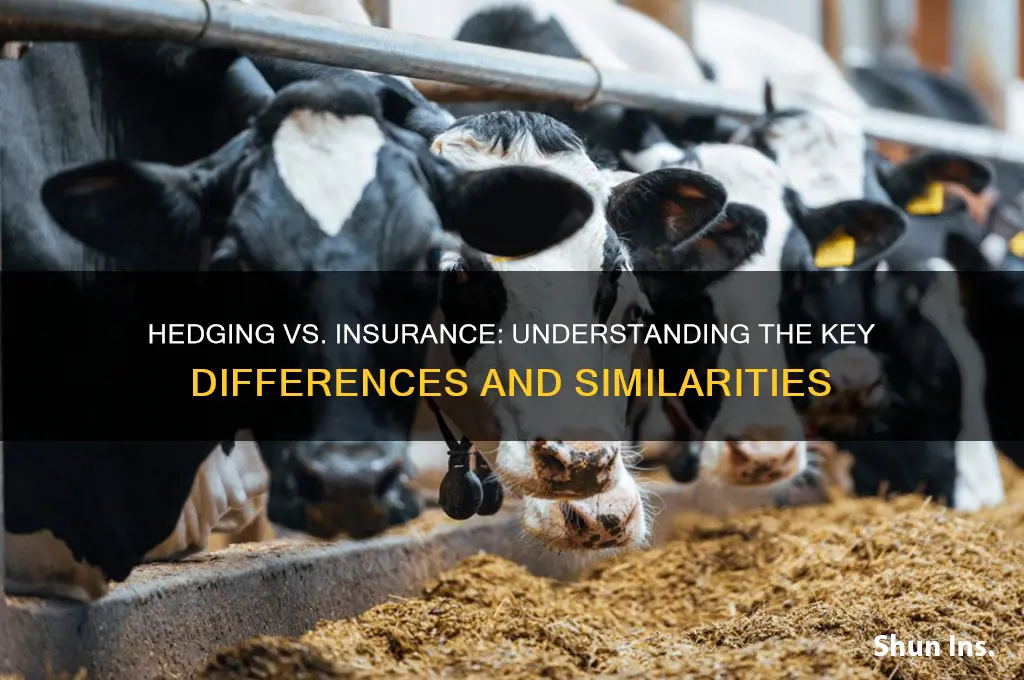 is hedging the same as insurance